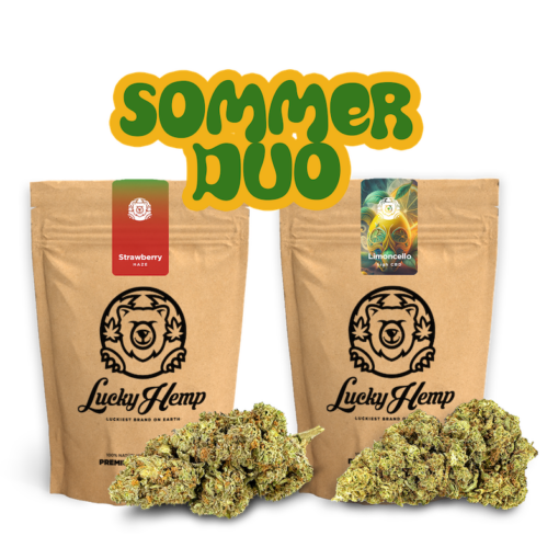 Hanf Blüten online kaufen Sommer Dou