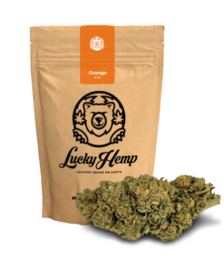 Cannabis Blüten online kaufen Orange Bud